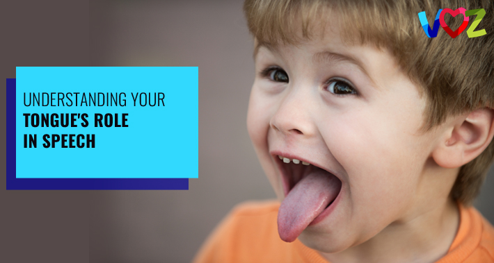 Understanding Your Tongue’s Role In Speech | Voz Speech Therapy Services Bilingual Speech Therapist Clinic Washington DC